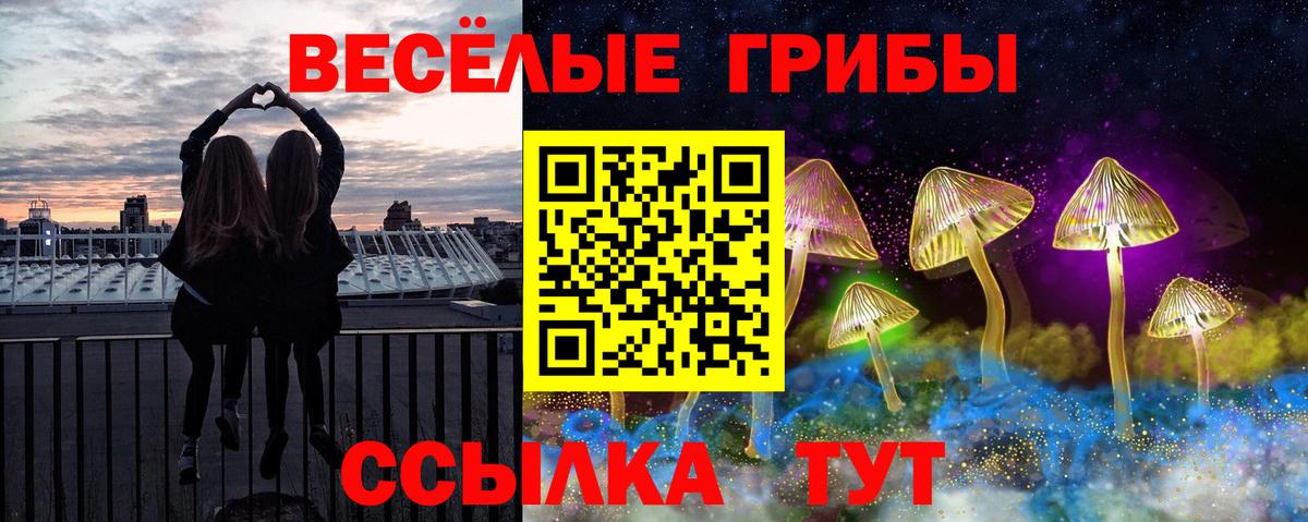 Галлюциногенные грибы Psilocybe Камышлов