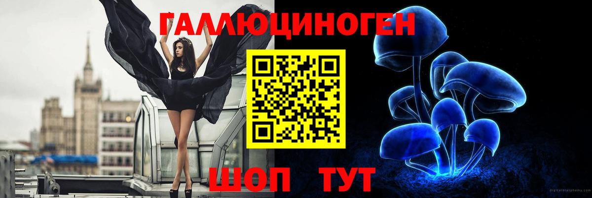 Псилоцибиновые грибы Magic Shrooms  Галлюциногенные грибы Cubensis  Камышлов  Вход с VPN 