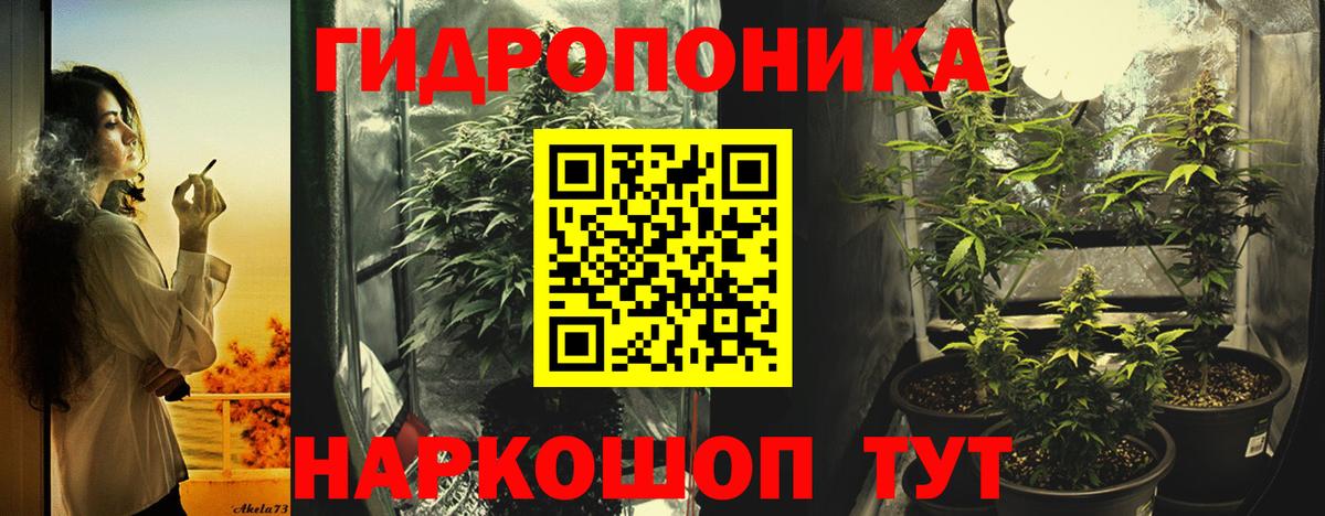 Бошки марихуана марихуана Камышлов
